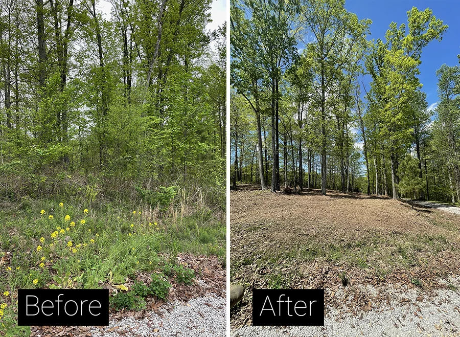 Before and after: overgrown lot cleanly mulched in the NC Sandhills