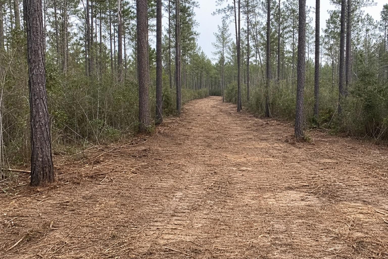 Fire Break Creation — after