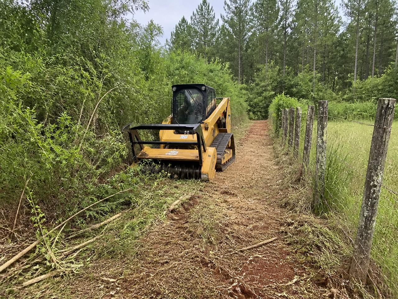 Fence Line Clearing in Moore County, NC