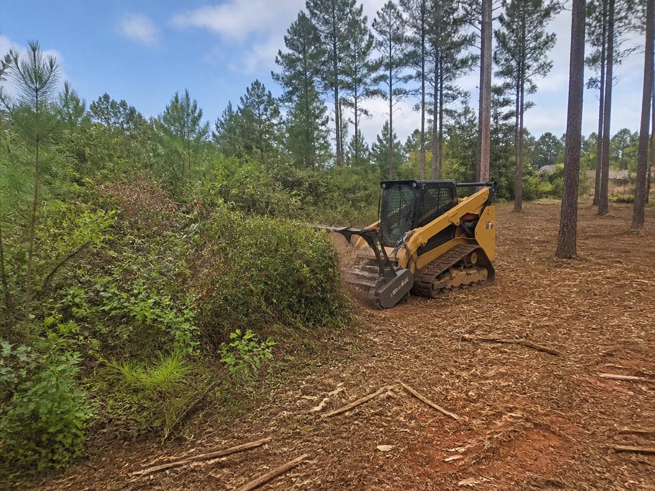 Land Management in Moore County, NC